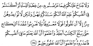 Violence in the Dating Period